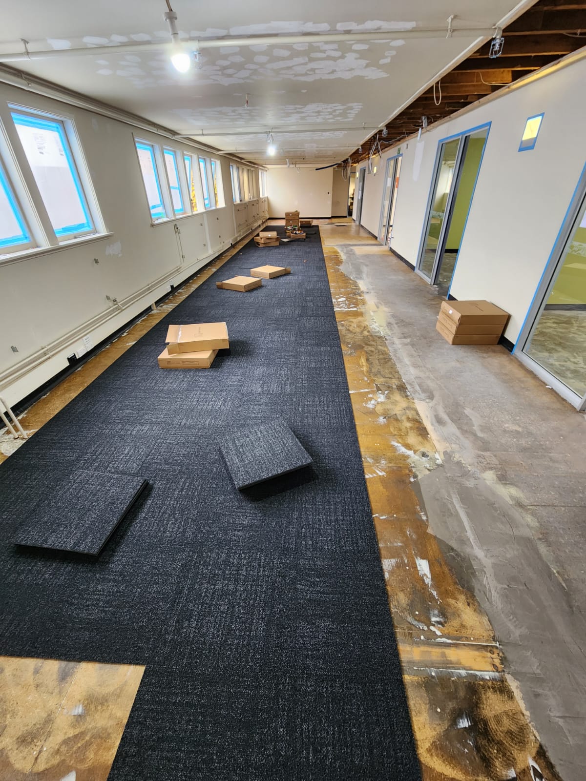 Before: Carpet Transformation