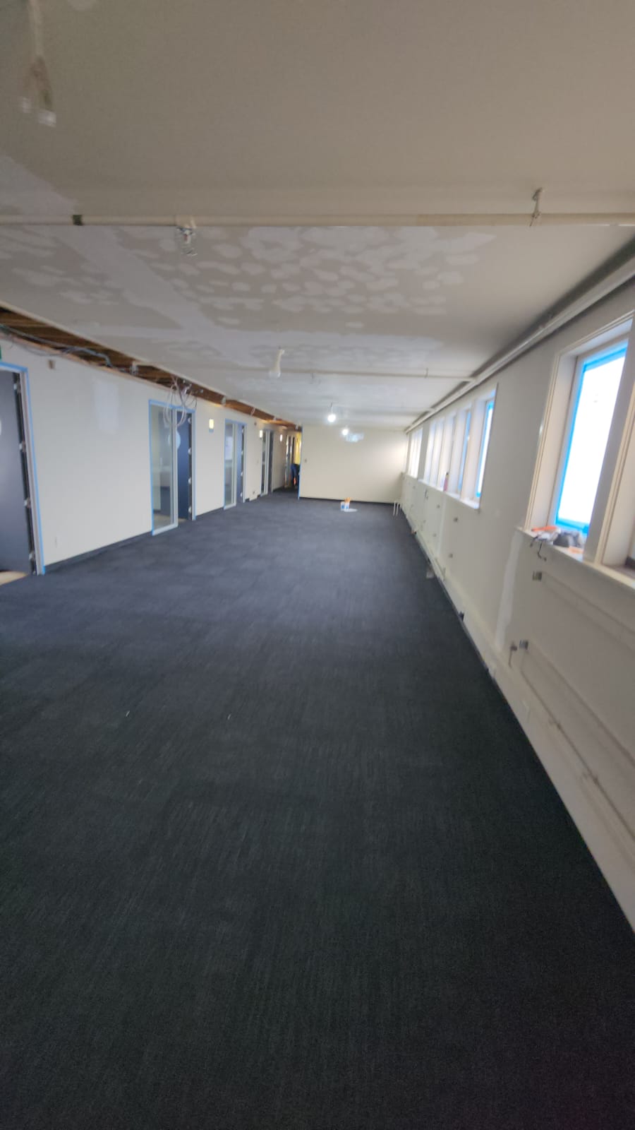 After: Carpet Transformation